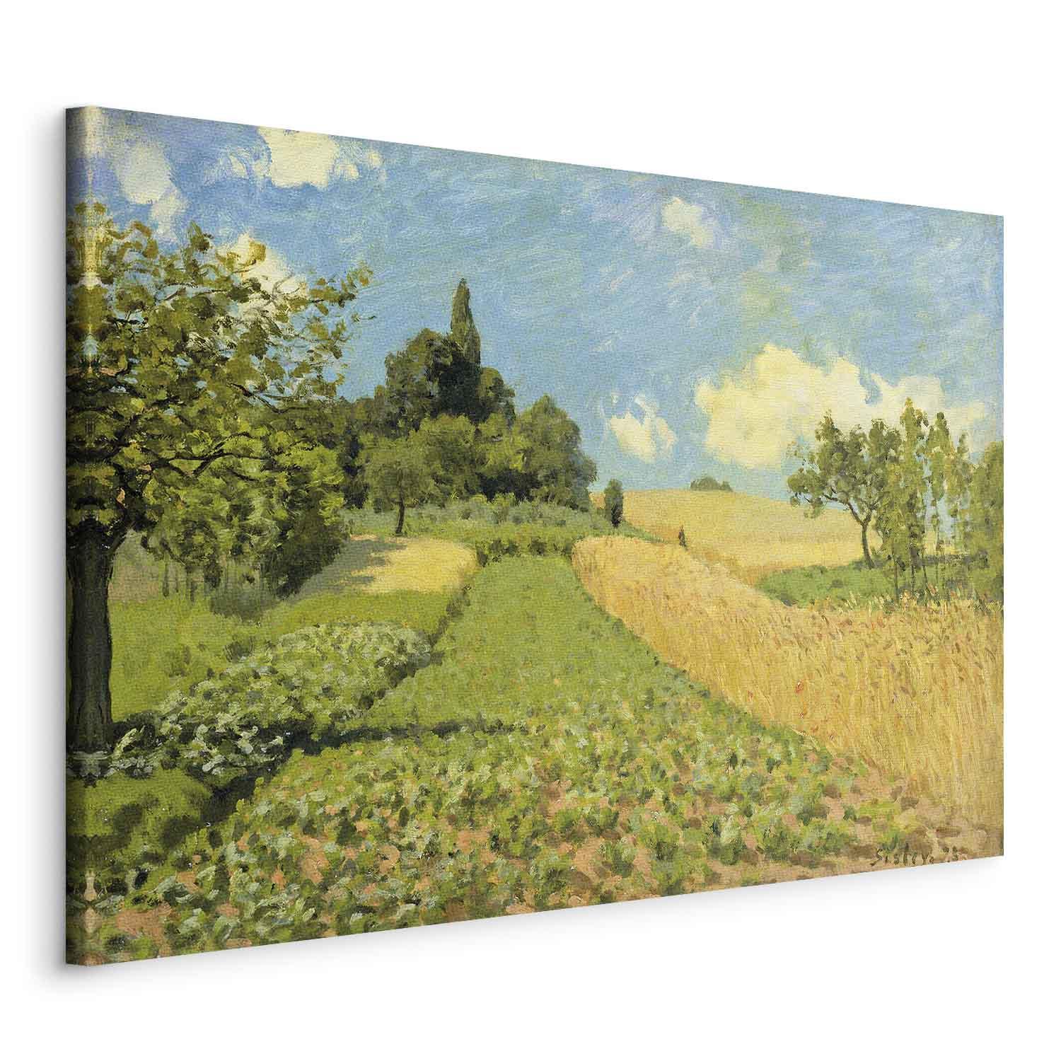 Alfred Sisley billede på lærred - Kornmarker på bakkerne ved Argenteuil