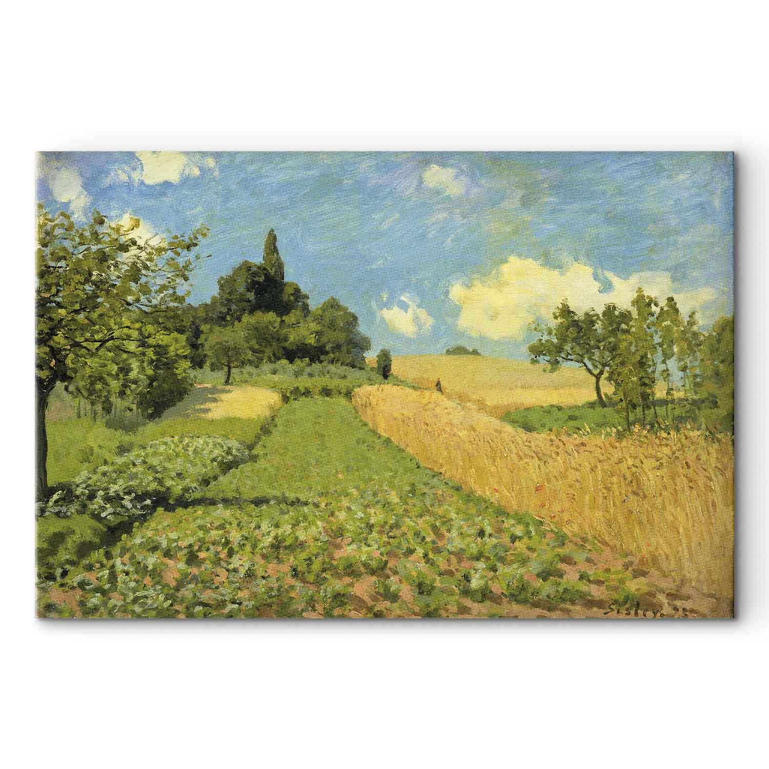 Billede på lærred reproduktion - Alfred Sisley, Kornmarker på bakkerne ved Argenteuil - 90 x 60 cm - Akustisk