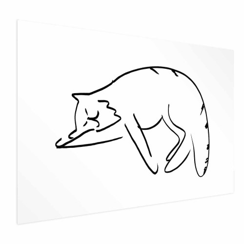 Plakat Kattedrømme - katteplakat til væggen