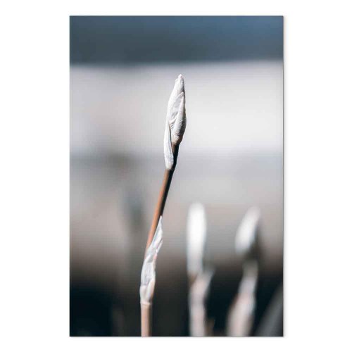 Lærredsbillede Botanical Minimalisme lodret blomster