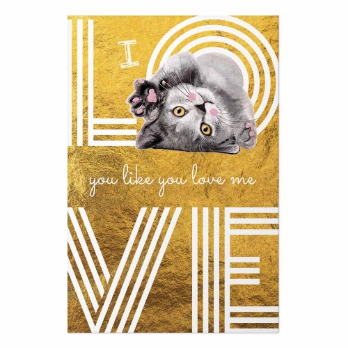 Citatplakat med kat - Jeg elsker dig, som du elsker mig