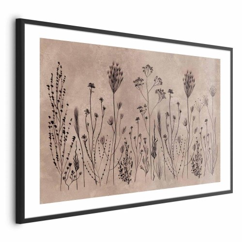 Blomsterplakat Field Flowers med sorte planter på kalkvasket beige baggrund