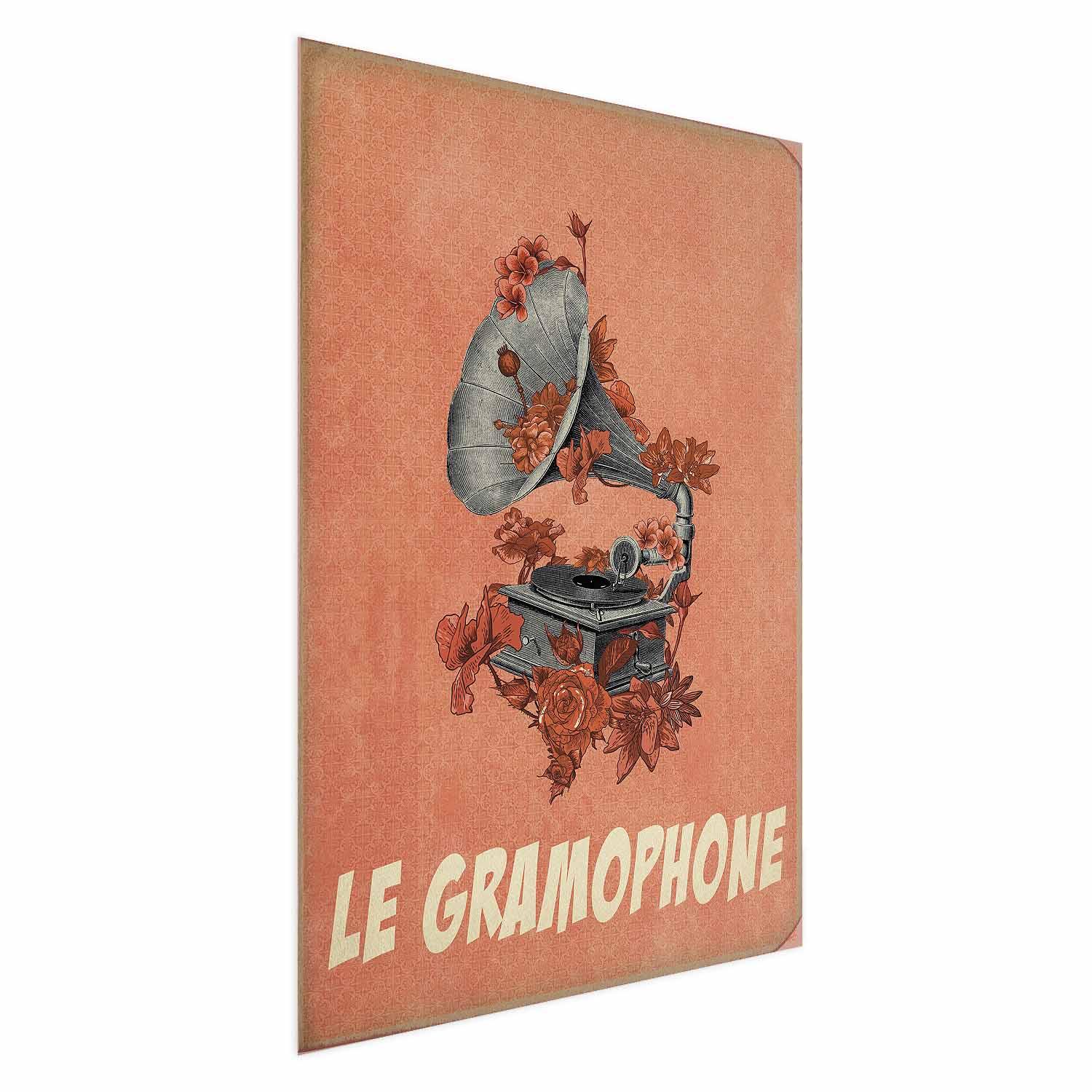Plakat - Grammofon vægplakat med blomster