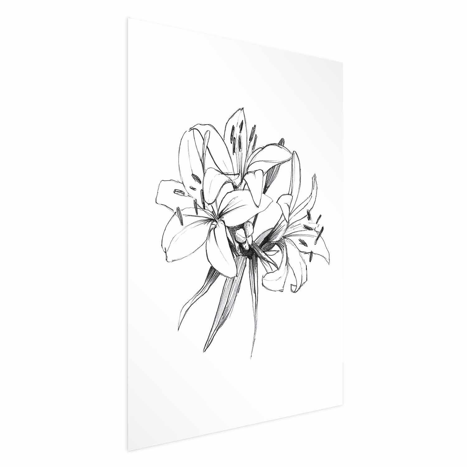 Blomsterplakat - Tegnede blomster