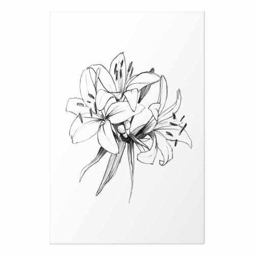 Blomsterplakat - Tegnede blomster