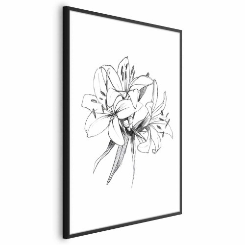 Blomsterplakat - Tegnede blomster
