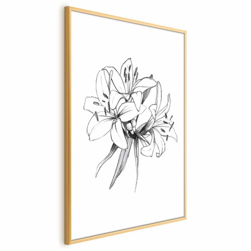 Blomsterplakat - Tegnede blomster