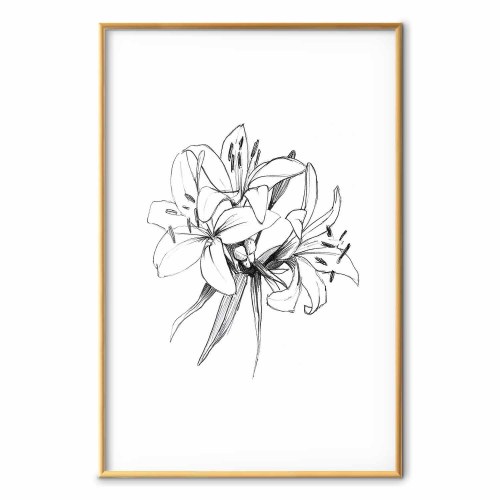 Blomsterplakat - Tegnede blomster