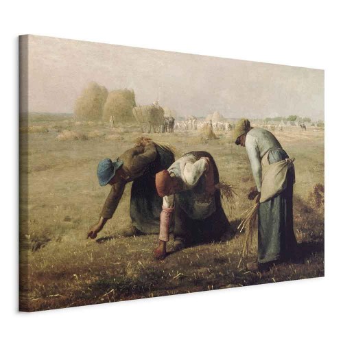 Jean-François Millet Aksplukkerne billede på lærred