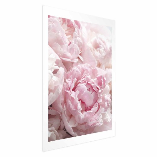 Blomsterplakat Morgennostalgi