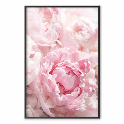 Blomsterplakat Morgennostalgi