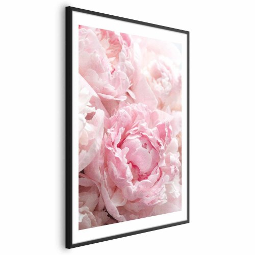 Blomsterplakat Morgennostalgi