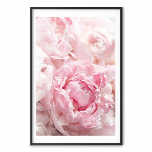 Blomsterplakat Morgennostalgi