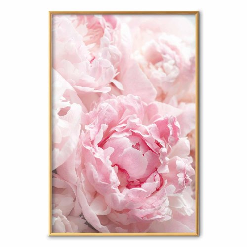 Blomsterplakat Morgennostalgi