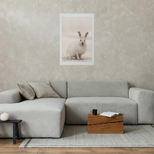 Plakat med hare - Ængsteligt blik
