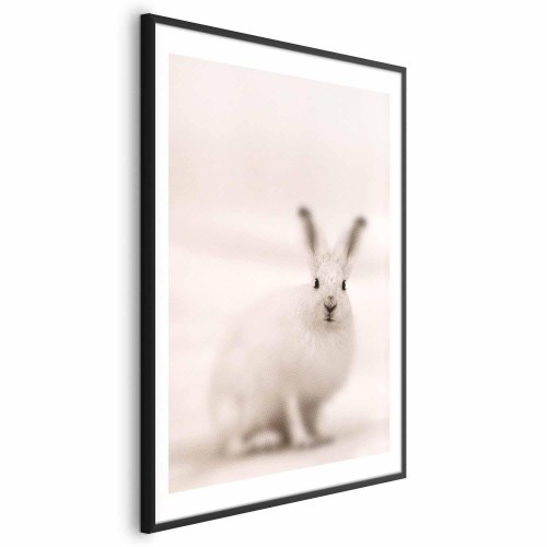 Plakat med hare - Ængsteligt blik