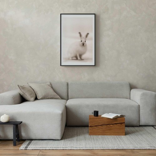 Plakat med hare - Ængsteligt blik