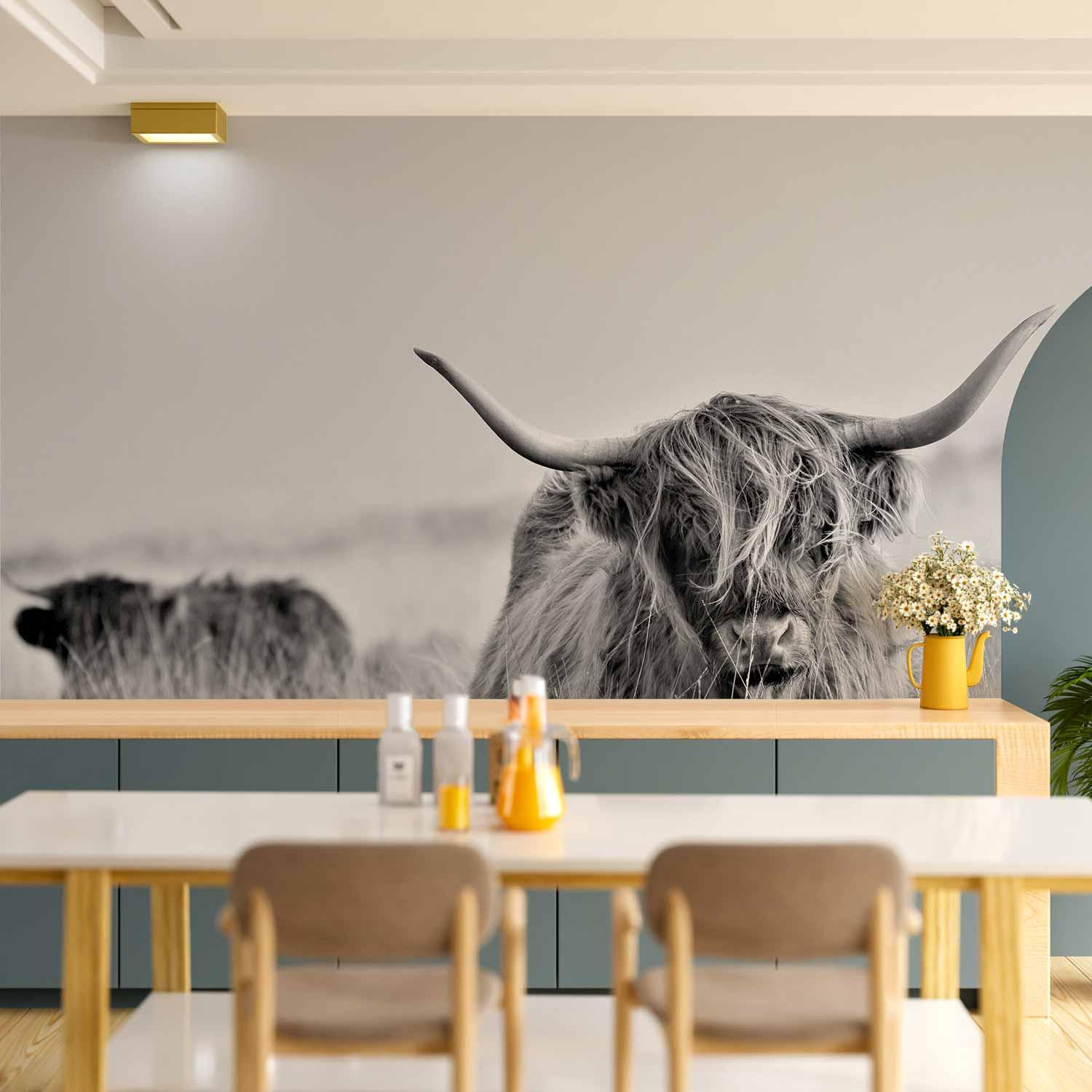 Fototapet med højlandskvæg - sort/hvid vægdekoration - 400 x 280 cm - Vandtæt