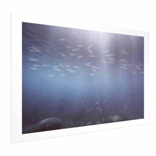 Plakat med fisk i dybet