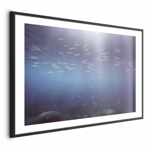 Plakat med fisk i dybet