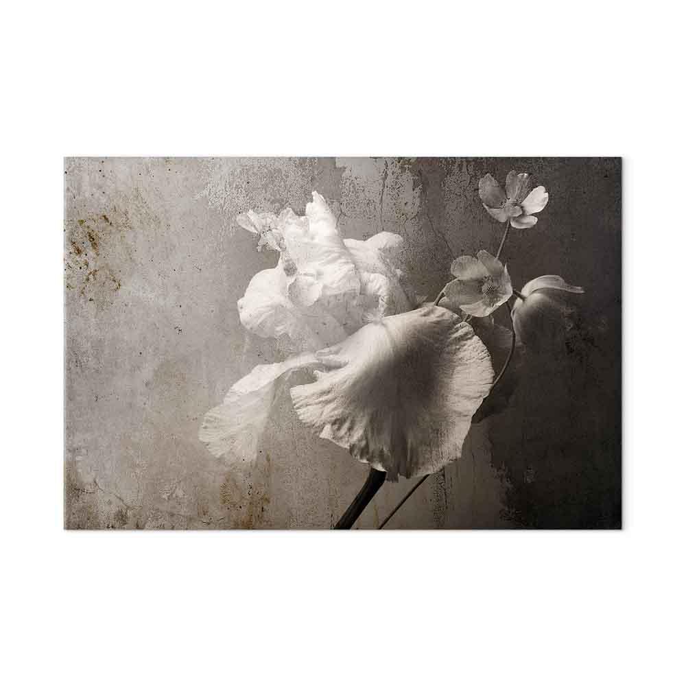 Billede på lærred - Venetiansk pragt 1 del, bredt blomsterbillede til væg - 120 x 80 cm - Akustisk
