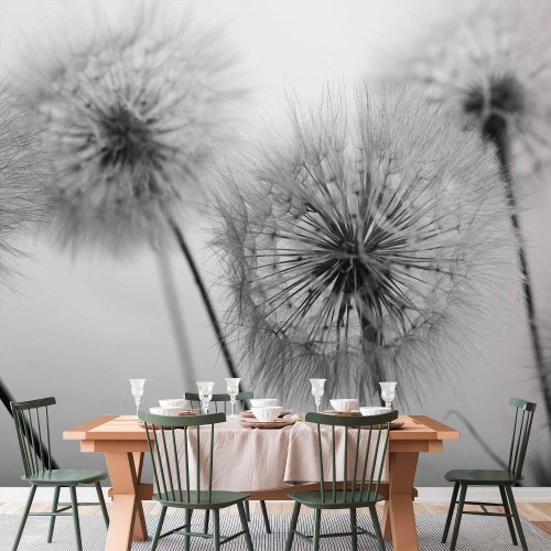 Fototapet Time for Dandelions - andenversion med mælkebøtter