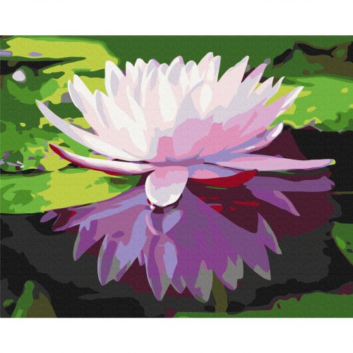 Mal efter tal billede - Åkande 50 x 40 cm