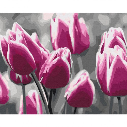 Mal selv billede Tulipanmark 50 x 40 cm