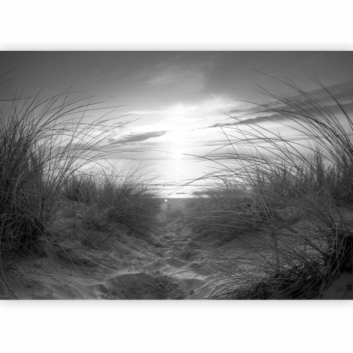 Fototapet strand i sort-hvid