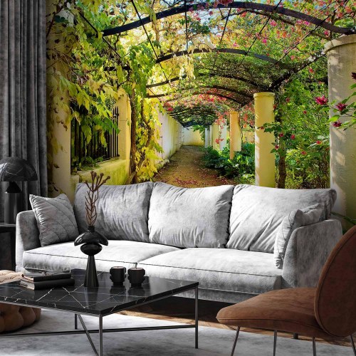 Fototapet Pergola - fototapet til væg med havegang