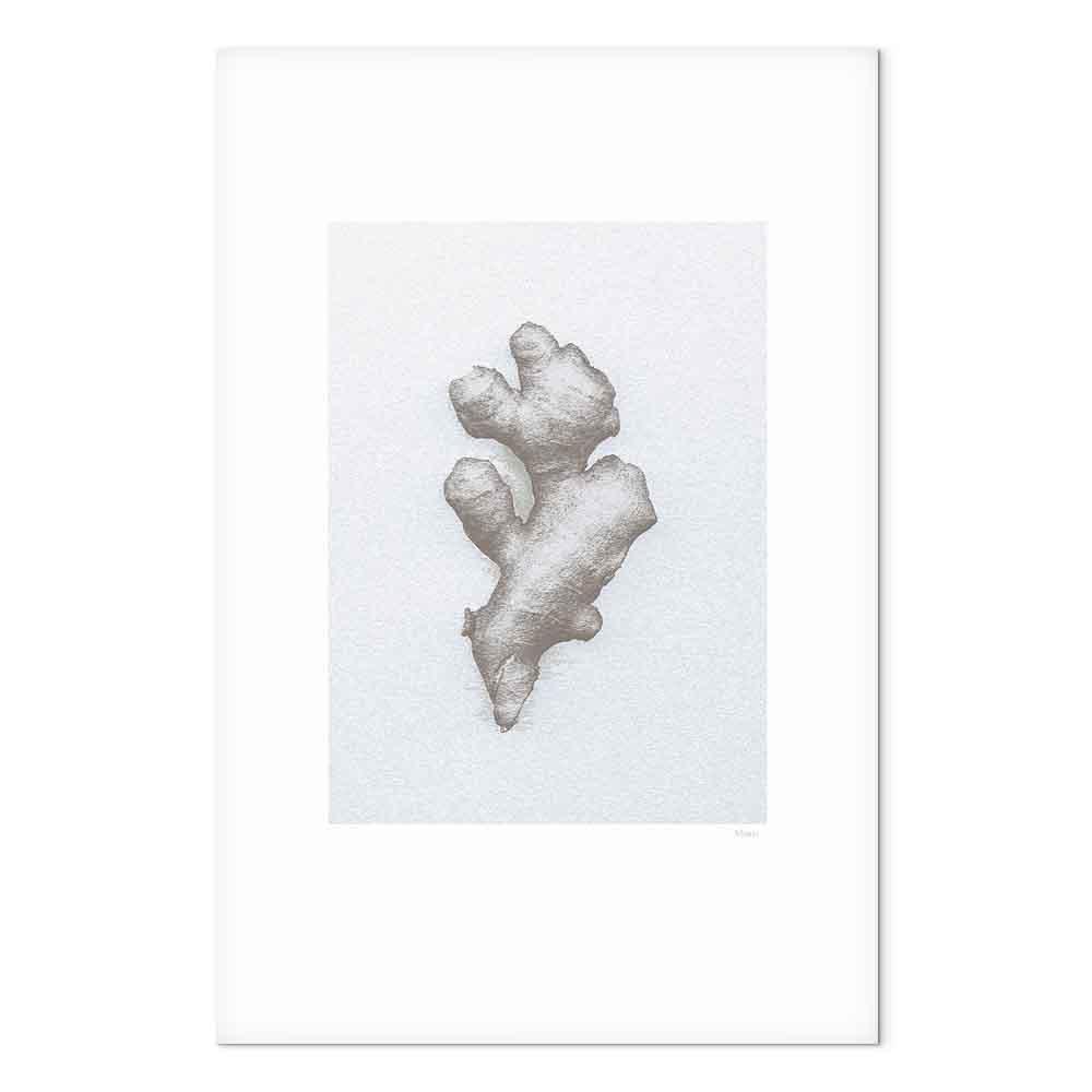 Ginger billede på lærred - 1 del, vertikalt vægbillede med botanisk motiv - 80 x 120 cm - Akustisk