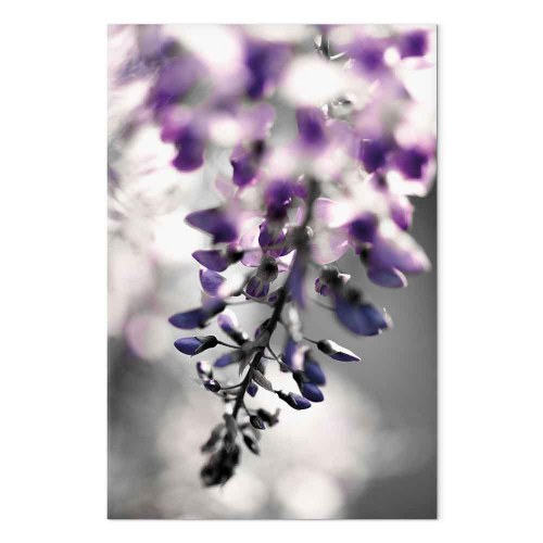 Blomsterbillede på lærred Violet Ringtones lodret