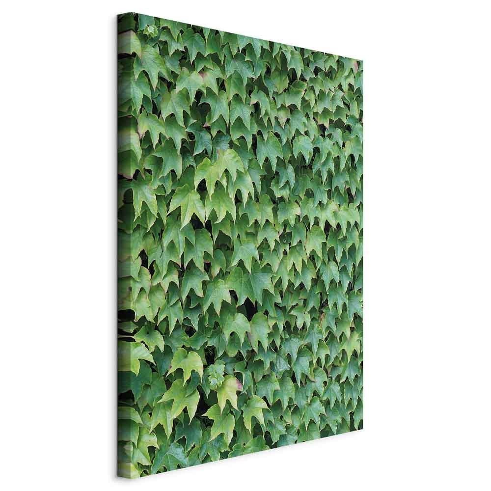 Billede på lærred med tyk vedbend - lodret vægdekoration med tryk på kanterne - 40 x 60 cm - Standard