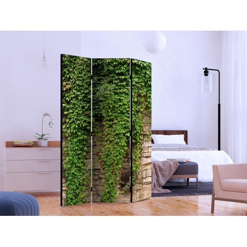 Skærmvæg Efeuvæg - 3-panels rumdeler 135 x 172 cm