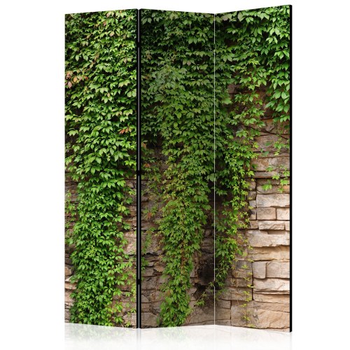 Skærmvæg Efeuvæg - 3-panels rumdeler 135 x 172 cm