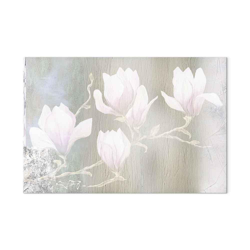 Billede på lærred - Hvide magnoliaer i bredt format - 60 x 40 cm - Akustisk