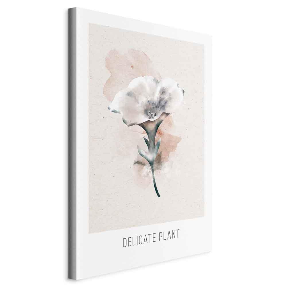 Billede på lærred Delikat plante lodret - 80 x 120 cm - På italiensk lærred