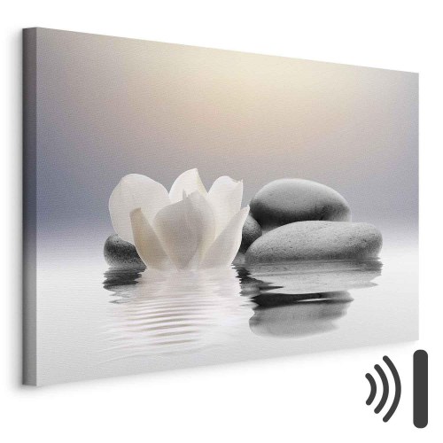 Lærredsbillede Garden of Calm med zenmotiv