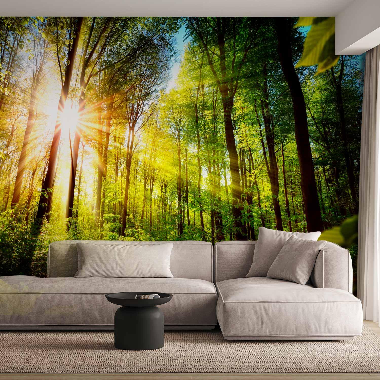 Fototapet Skovgemmested med sollys - 147 x 105 cm - Selvklæbende
