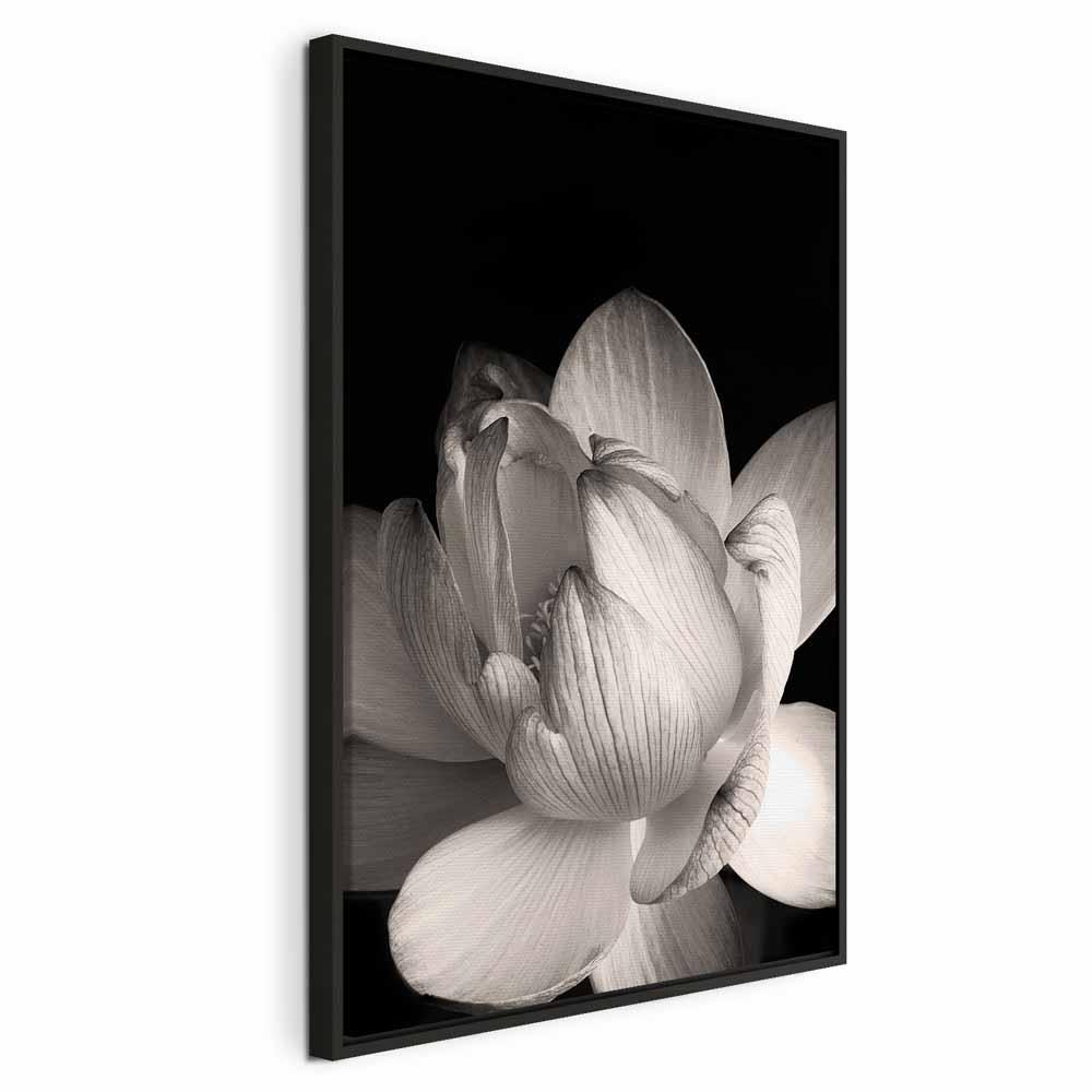 Lærredsbillede - Blomstens sarte kronblade i naturen - sort/hvid vægdekoration i 1 del - 40 x 60 cm - I en sort træramme