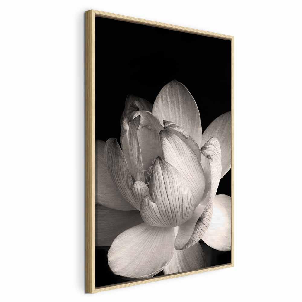 Lærredsbillede - Blomstens sarte kronblade i naturen - sort/hvid vægdekoration i 1 del - 40 x 60 cm - I en naturlig træramme