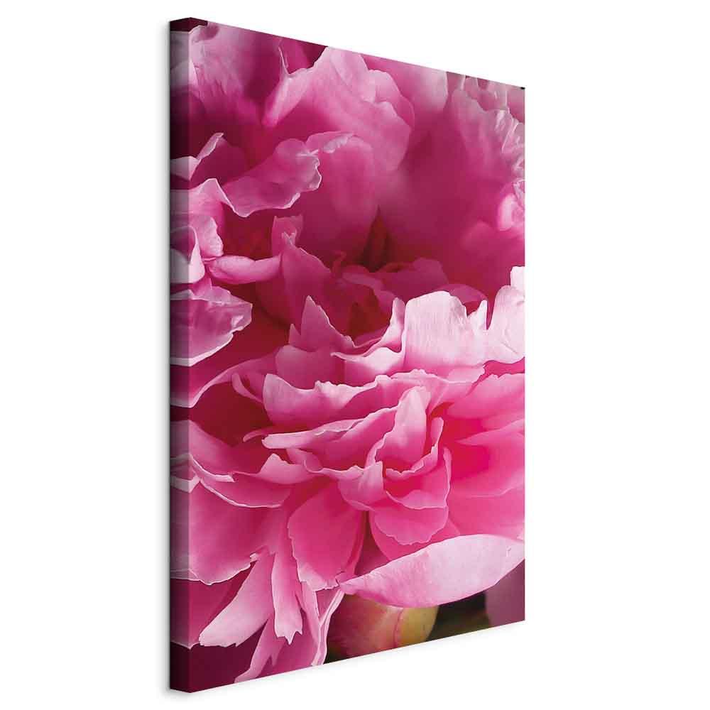 Blomsterbillede på lærred - Blossom of Beauty - Pink Peony Flower Embraced by Nature - 60 x 90 cm - På italiensk lærred