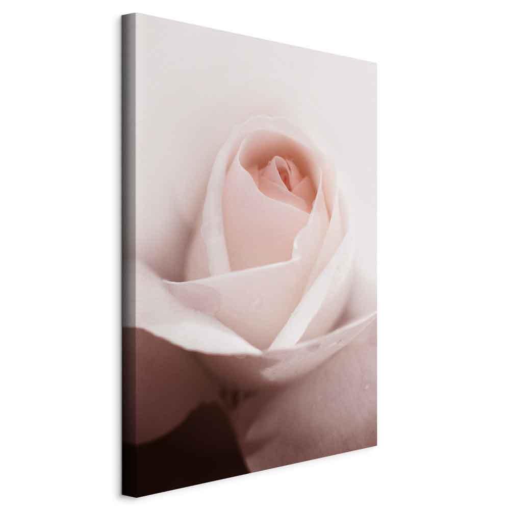 Lærredsbillede Level of Feelings - lodret blomsterbillede med rose - 80 x 120 cm - Standard