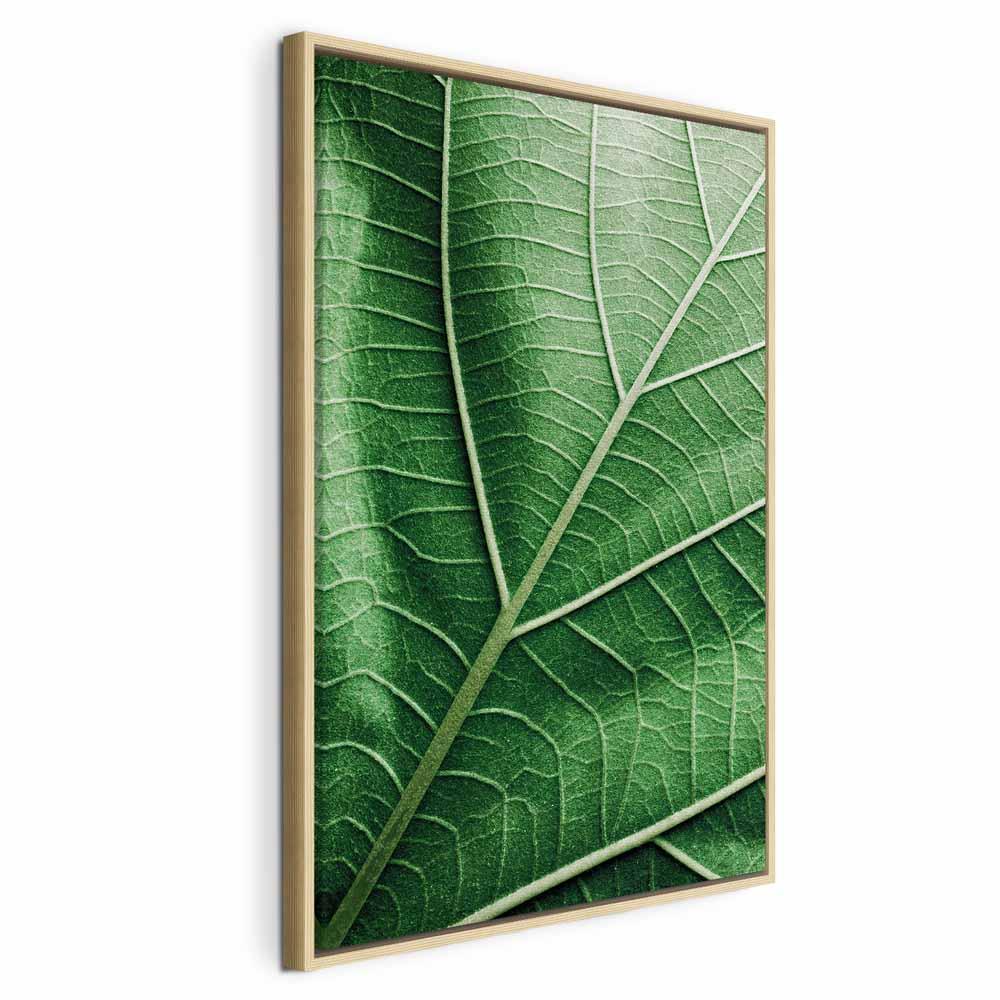 Billede på lærred - Malakitblad, 1 del, lodret vægdekoration - 80 x 120 cm - I en naturlig træramme