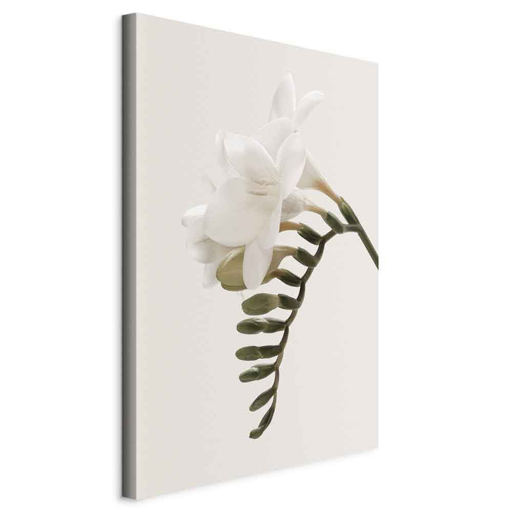 Lærredsbillede Spring Headdress - vertikalt blomsterbillede i 1 del - 80 x 120 cm - Standard