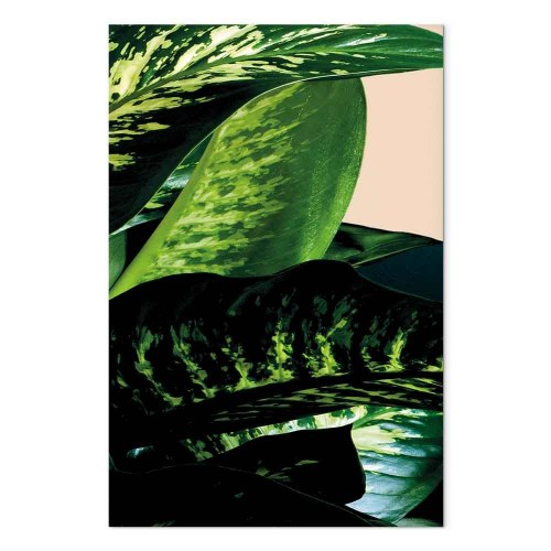 Lærredsbillede Dieffenbachia 1-delt lodret vægbillede med blade