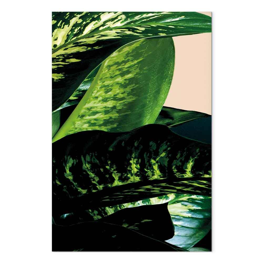 Lærredsbillede Dieffenbachia 1-delt lodret vægbillede med blade - 80 x 120 cm - Akustisk