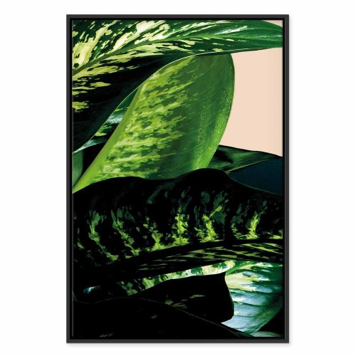 Lærredsbillede Dieffenbachia 1-delt lodret vægbillede med blade