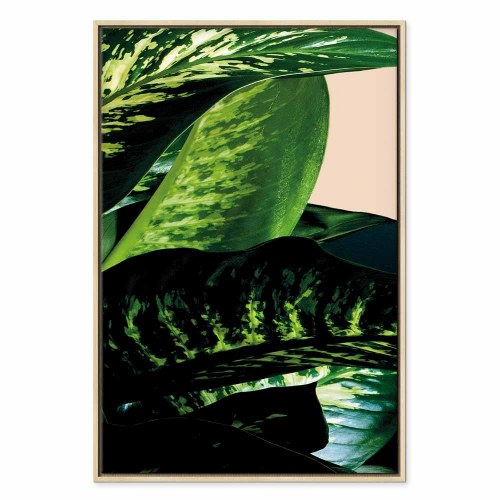 Lærredsbillede Dieffenbachia 1-delt lodret vægbillede med blade