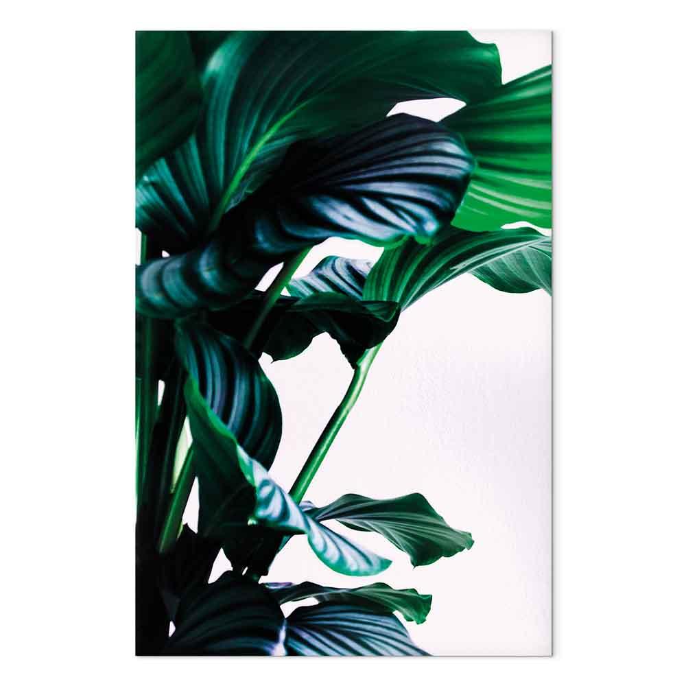 Lærredsbillede Springy Leaves - vertikalt vægbillede med bladmotiv i 1 del - 80 x 120 cm - Akustisk